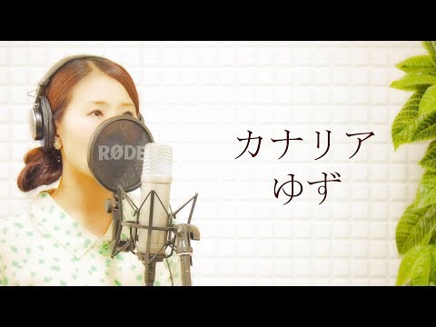 ゆず(Yuzu)-『カナリア』【カバー　平村優子】フル歌詞付き日本テレビ系「NEWS ZERO」テーマソング