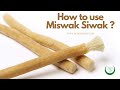 How to use miswak siwak  the natural islamic muslim tooth care product     wwwdeeneeshopcom