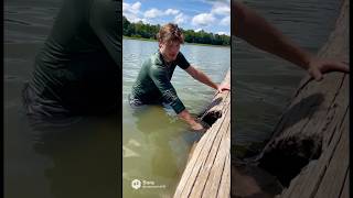 First time noodling 🤣 #jesus #fish #fishing #ai #funny #shorts #viral