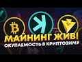 Майнинг на видеокартах жив! Окупаемость RTX40 серии 19 месяцев. Что происходит с майнингом 2023