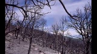 Situational Awareness - Part 18 - Safety Zones