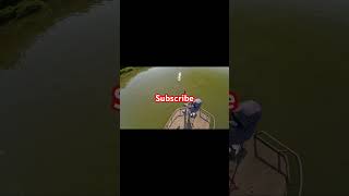 Bow & Arrow Fishing subscribe bowfishing follow like likethevideo fish follow fyp fishing