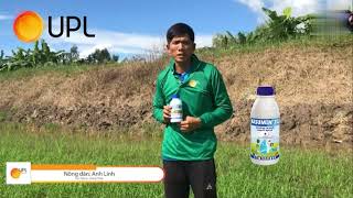 KASUMIN 2SL - CHUYÊN GIA TRỊ KHUẨN | UPL VIỆT NAM