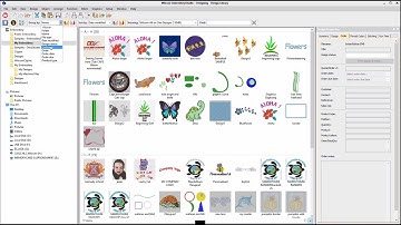 EmbroideryStudio e4 - New Advanced Integrated Design Library