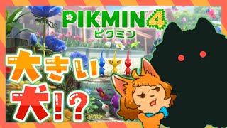 【ピクミン４】でっかい犬ってなに！？うちにもいますけど！？🐾
