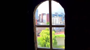 LEIDEN CITY LIVE WALKING TOUR (INSIDE HISTORIC DUTCH WINDMILL )