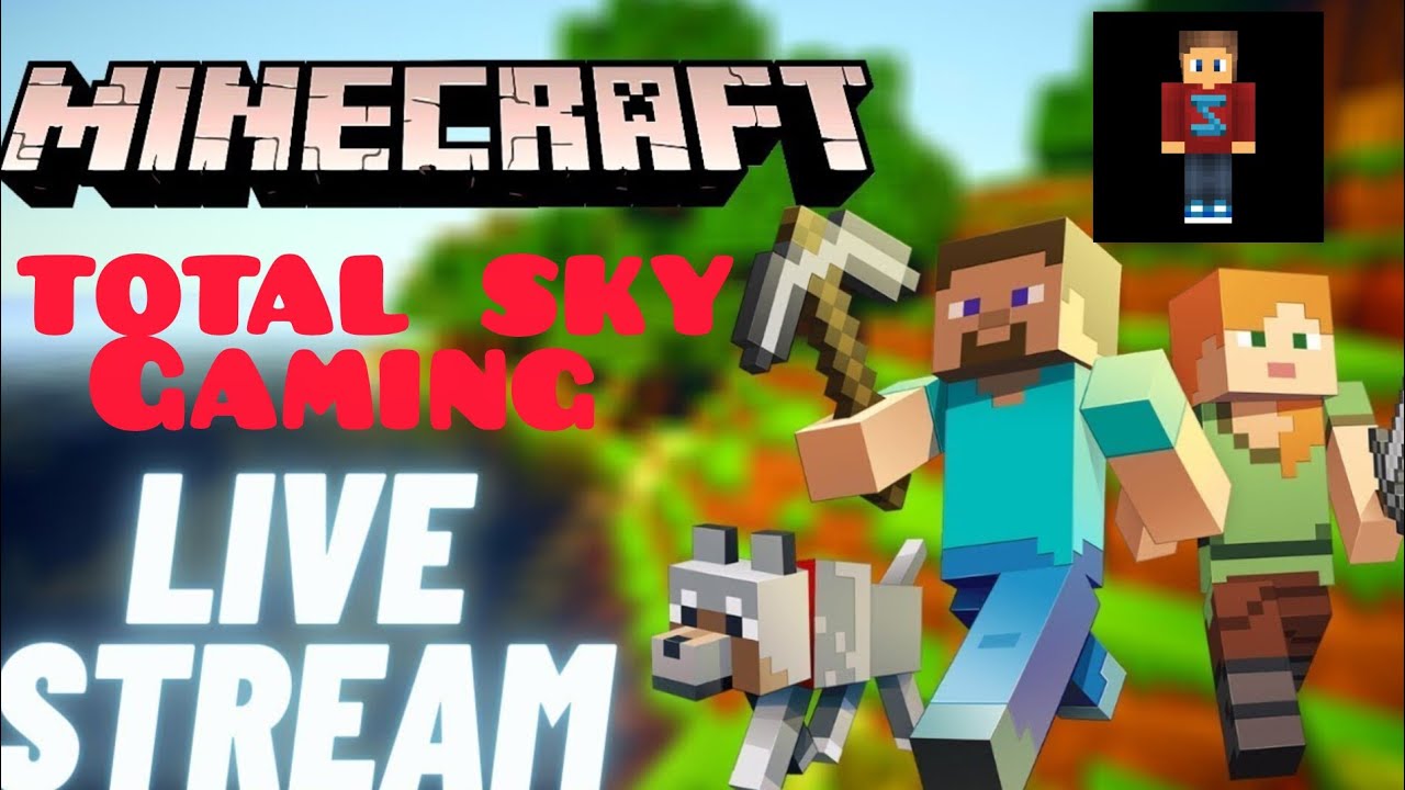 Total sky gaming ||#minecraft gameplay live stream - YouTube