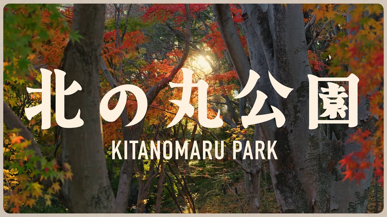 Video Postcards Vol.29 - 北の丸公園Kitanomaru Park | Lumix S9