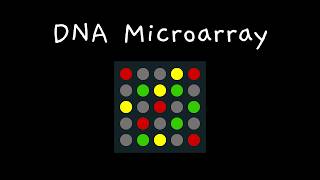 DNA Microarray | DNA chip