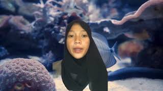 Group 7Bsfi-3Aphilippines Fisheries Code Of 1998 Pertinent Provisions Of Ra 8550