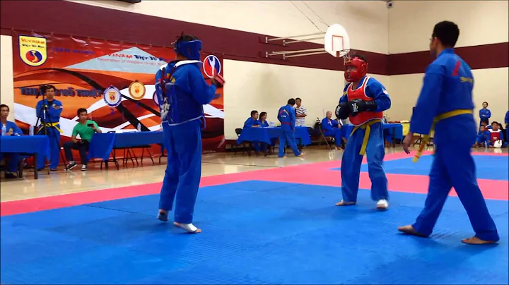 loc pham vovinam sparring match?