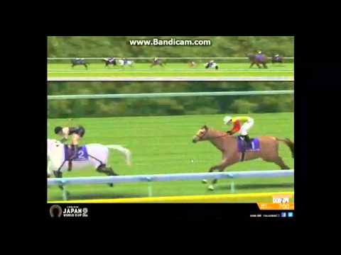 japanese-horse-racing