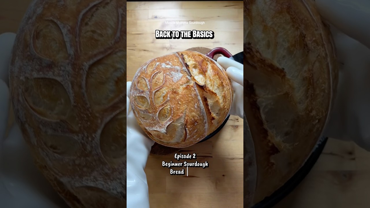 Back to the basics: Easiest Beginner Sourdough Recipe