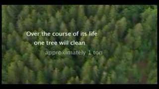 PSA Trees
