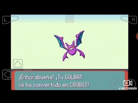 Como Evolucionar un Golbat | Como Conseguir Ah Crobat | Pokemon ...