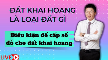 Đất khai hoang là gì và điều kiện để cấp sổ đỏ bạn nên biết  khi đầu tư bất động sản I Hà Văn Linh