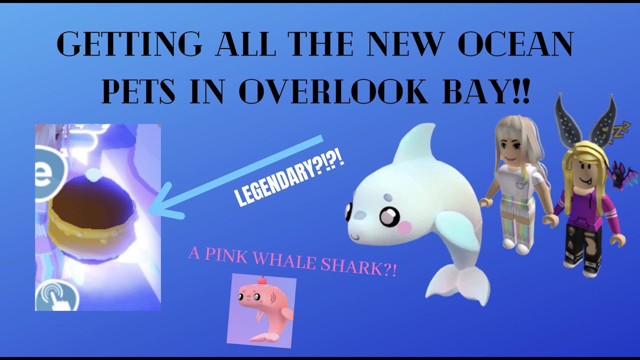 GETTING A LEGENDARY OCEAN PET in Overlook Bay?! || How to get to Arcadia Isle for FREE 😱👍