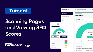 Scanning Individual Web Pages and Viewing SEO Score Results (Feature Tutorial)