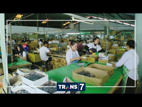 Review Kacamata Trendy