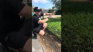 Full DO THIS IF YOU HAVE A ST. AUGUSTINE LAWN News