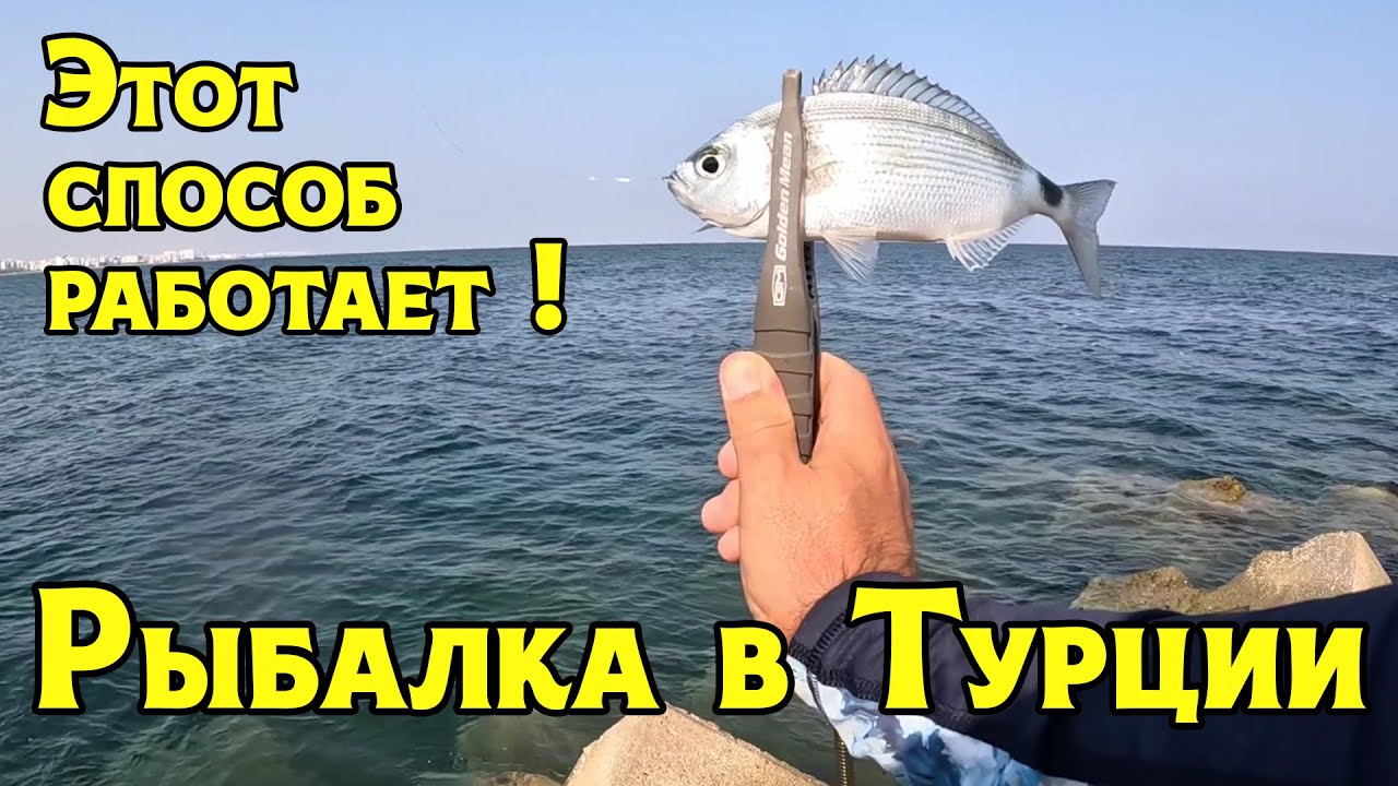 Рыба есть! Ловля на бомбарду в Турции.