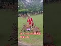 奈良で素晴らしい一日を観光で満喫 🫎💃💋