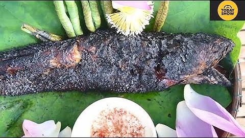 MIỀN TÂY - Thơm Lừng Cá Lóc Nướng Trui - Hương Vị Miền Tây Khó Quên | SOUTHWEST | TODAY DISCOVERY