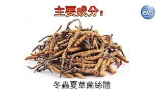 elead product(1)