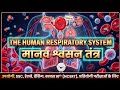 🔥 Human Respiratory System | Complete Chapter | NCERT Biology | Class 10 & 11 | NEET 2026