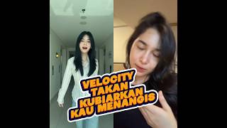 Velocity Takkan Ku Biarkan Kau Menangis  Trending Dance Popular Song