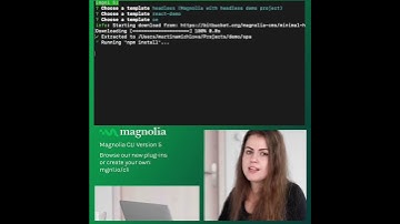 Magnolia CLI Version 5 – Introduction