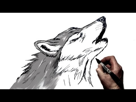 Video: How To Draw A Howling Wolf In Stages