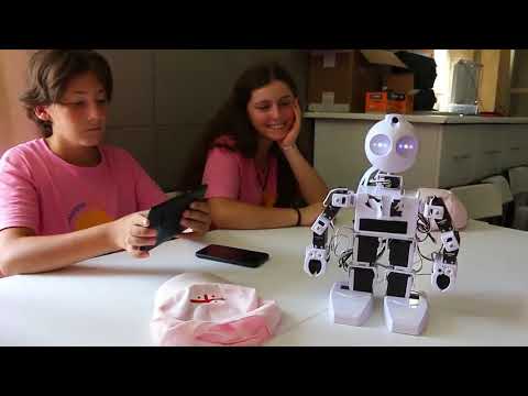 რობოტექნიკის სასწავლო პროგრამები