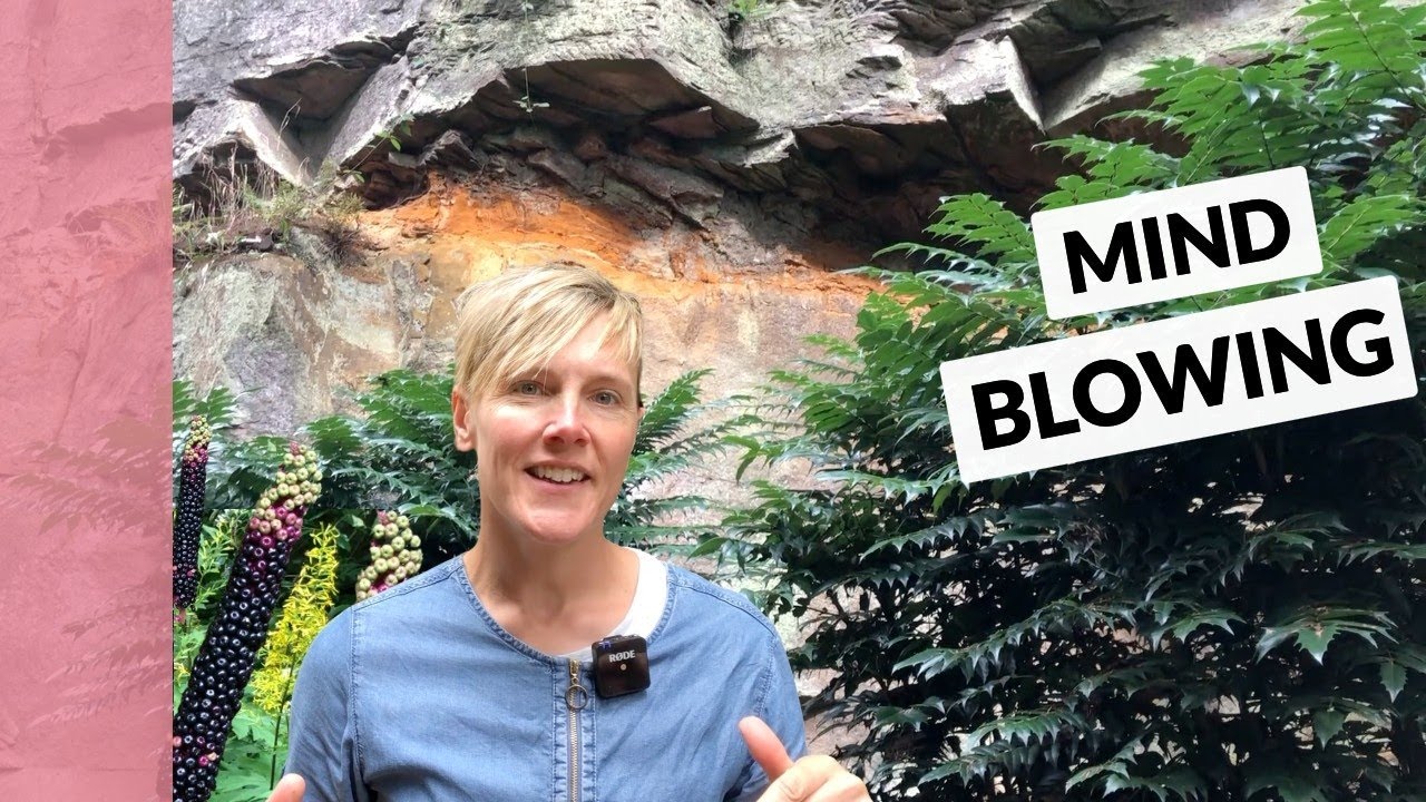 You Won't Forget This Garden: Belsay East Quarry