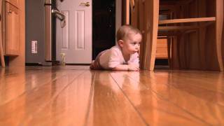 CRAWLING-JET FILMS.mp4