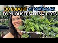 30 budget walmart plant shopping  big box house plant shopping  plant haul
