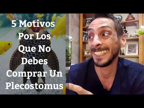 Video: ¿Qué tan grande obtiene un Plecostomus?