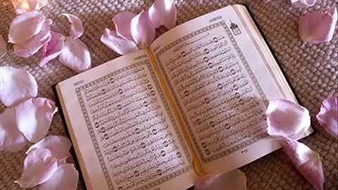 نصف ساعة مع ايات السكينة والطمأنينة    القارئ احمد العجمي