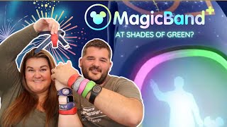 Are Magic Bands Worth It At Shades Of Green? MUST Have Or Don't Need? Beginners Questions Answered!