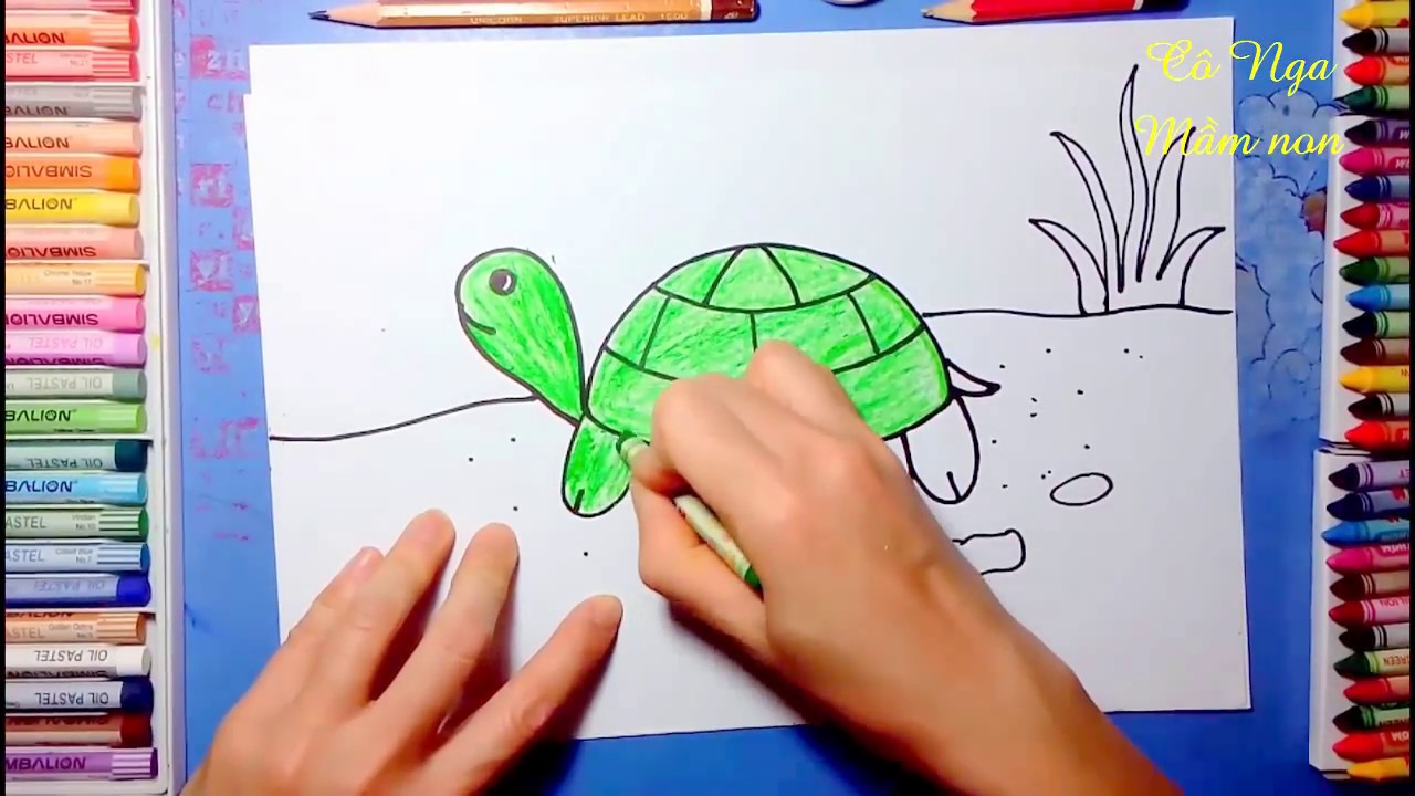 How to draw a turtle- coloring turtle - Vẽ con rùa - Hướng dẫn vẽ ...