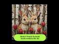 Reise mit dem Wind, verreisen in ferne Länder, Urlaubsreise Sommer, Sommerferien, Urlaub machen, Rei
