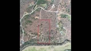 217 Trapper Lane, Augusta, WV ~ 7.06 AC ~ $150,000 217 Trapper Lane, Augusta, WV ~ 7.06 AC ~ $150,000