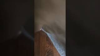 Daily snaps 9/8/18