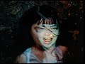 Björk - Hyperballad (music video)