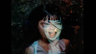 Björk - Hyperballad (music video)