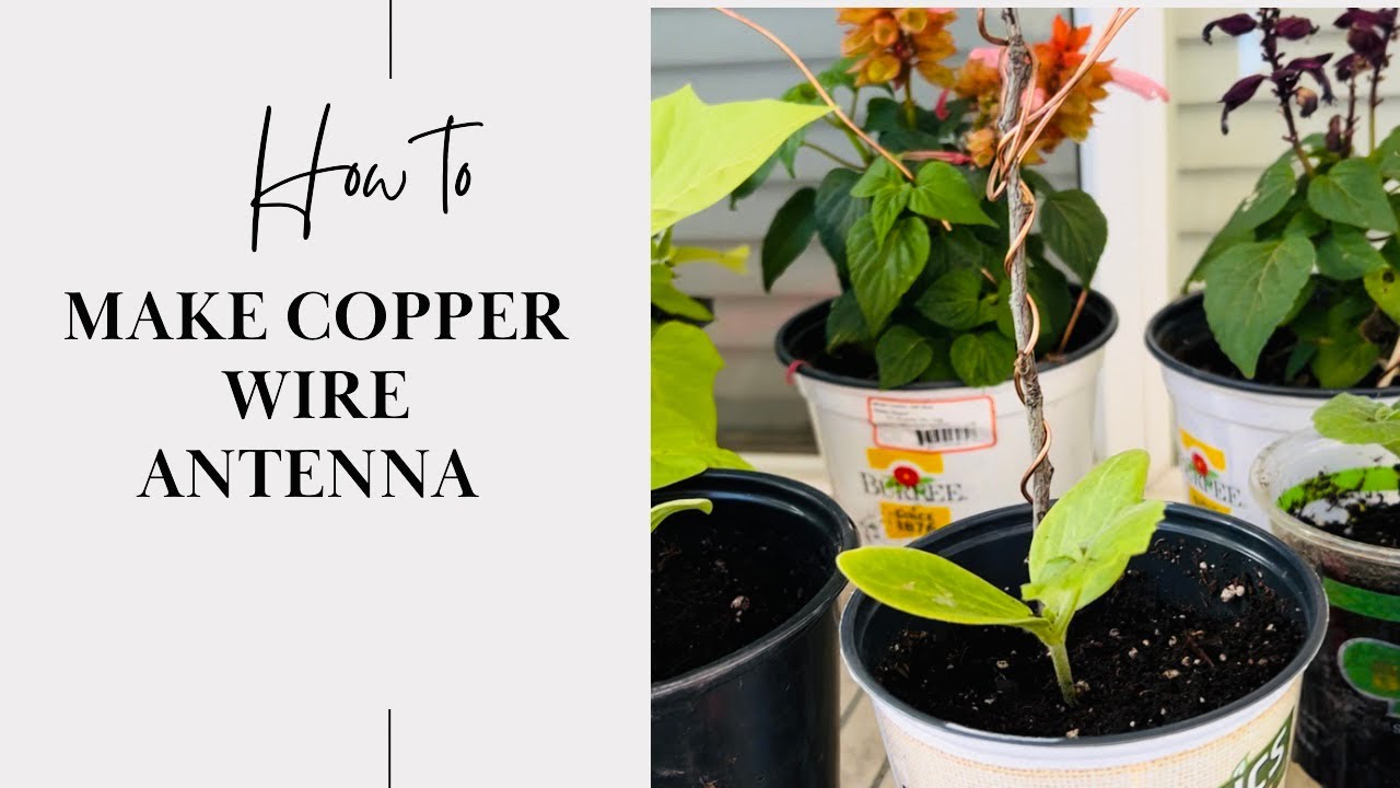 Growing Seedlings with Copper Wire Antenna YouTube