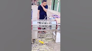 advanced machine for peeling sugar cane skin quickly #shorts