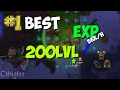 Best exp spawns for level 200 paladins 1 episode oramond west tibia