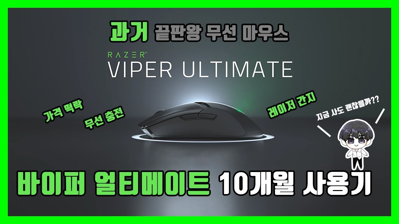 레이저 바이퍼 얼티메이트 1년가까이 사용해보고 느낀 장점, 지금사도 될까?