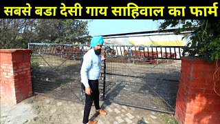 इतना बड़ा साहीवाल गाय का फार्म नहीं देखा होगा|Largest Sahiwal Desi cow Dairy farm in Karnal india